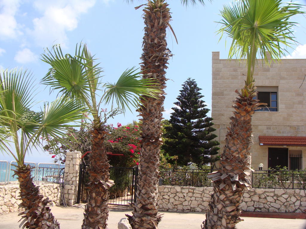 Tamer Guest House Haifa Luaran gambar