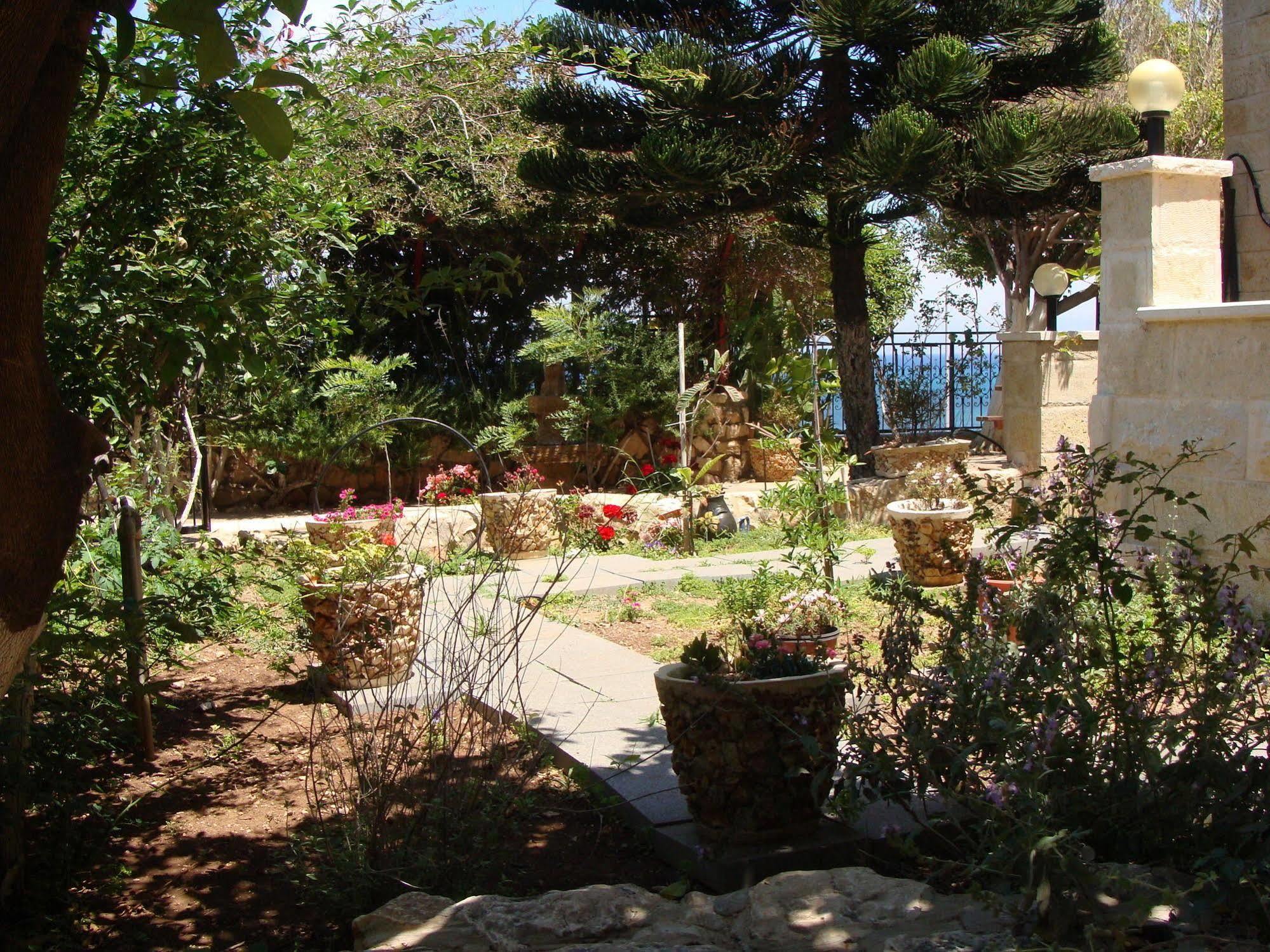 Tamer Guest House Haifa Luaran gambar