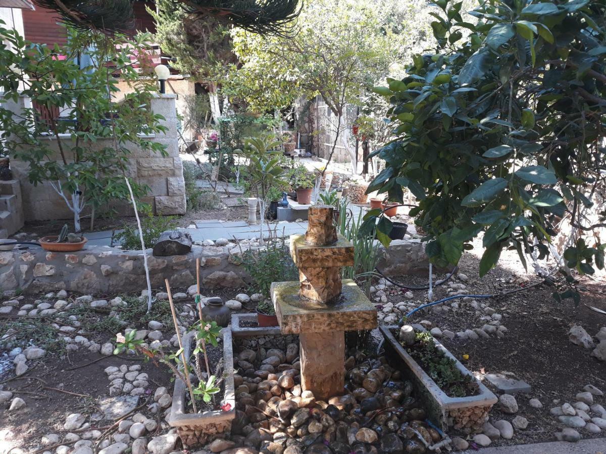 Tamer Guest House Haifa Luaran gambar